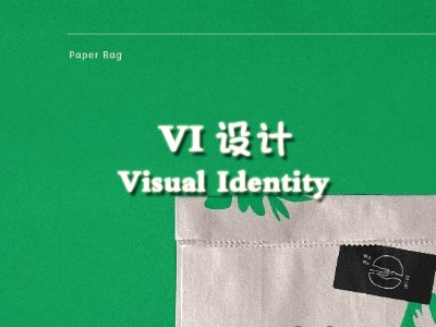 六盤水(shuǐ)vi設計(jì)